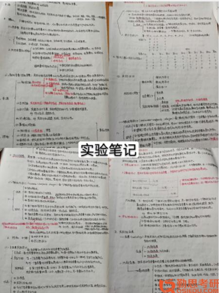 中山大學應用心理專碩考研筆記